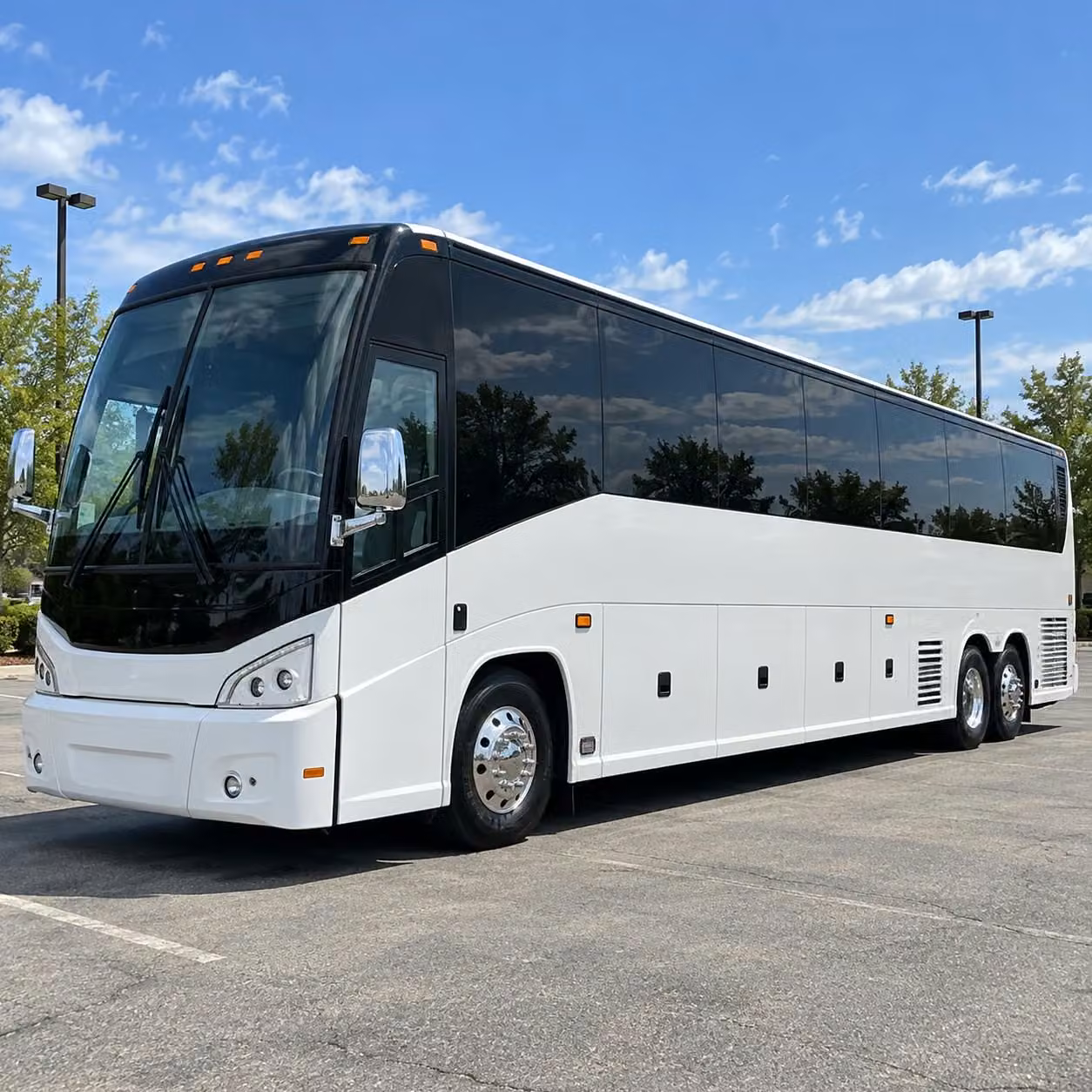 rather than juggling volunteer drivers book a stratford field trip bus to beardsley zoo